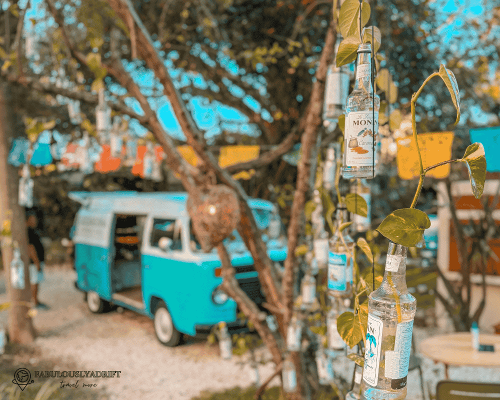 Things to do in Isla Mujeres - Fabulouslyadrift