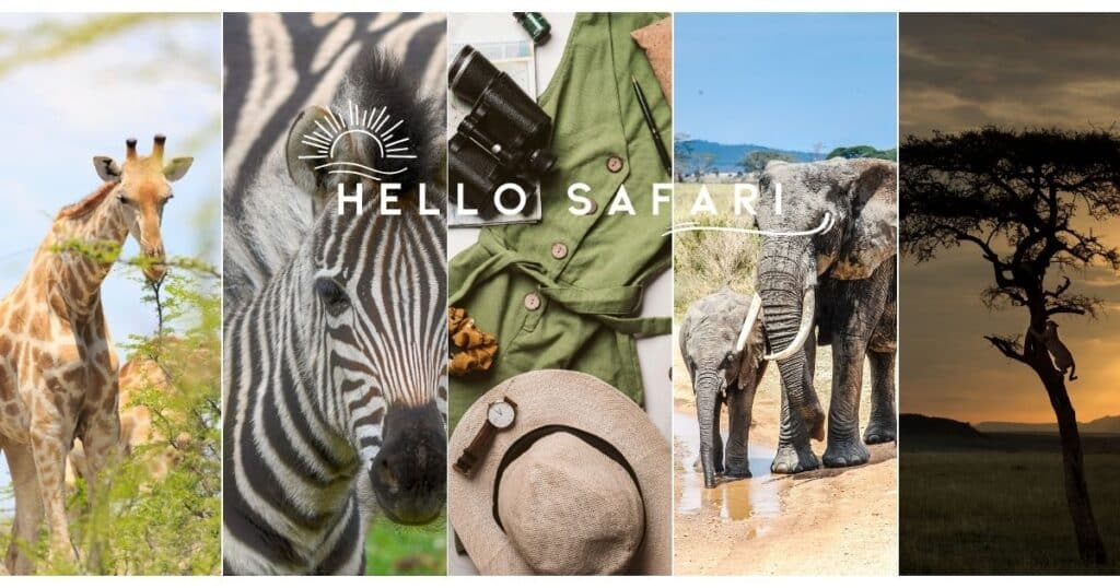 Photo collage from a Kenya Safari with wildlife including giraffe , zebra, and elephants.